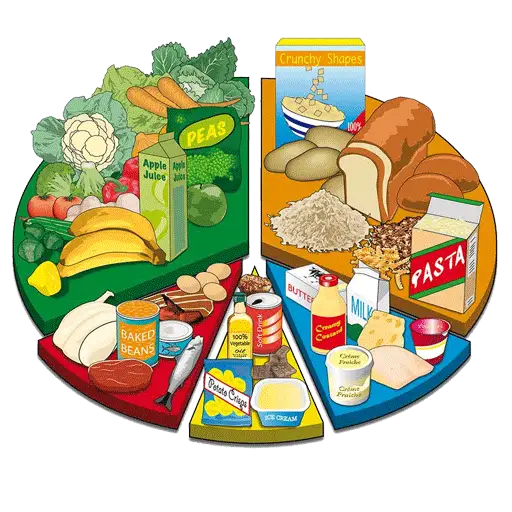 مقالات تغذیه